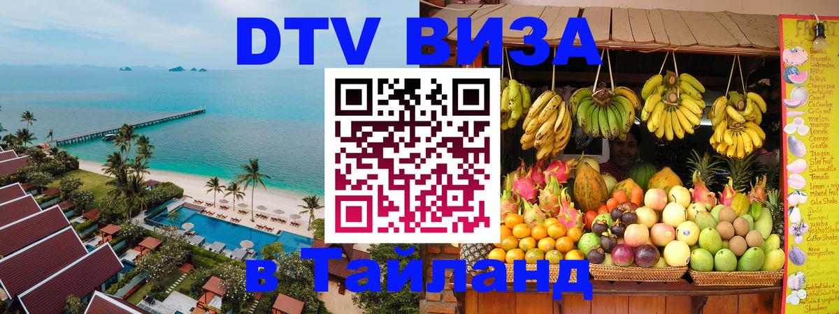 Оформление DTV визы под ключ: стоимость и тарифы, только загранпаспорт - Рубцовск  19.11.2025 